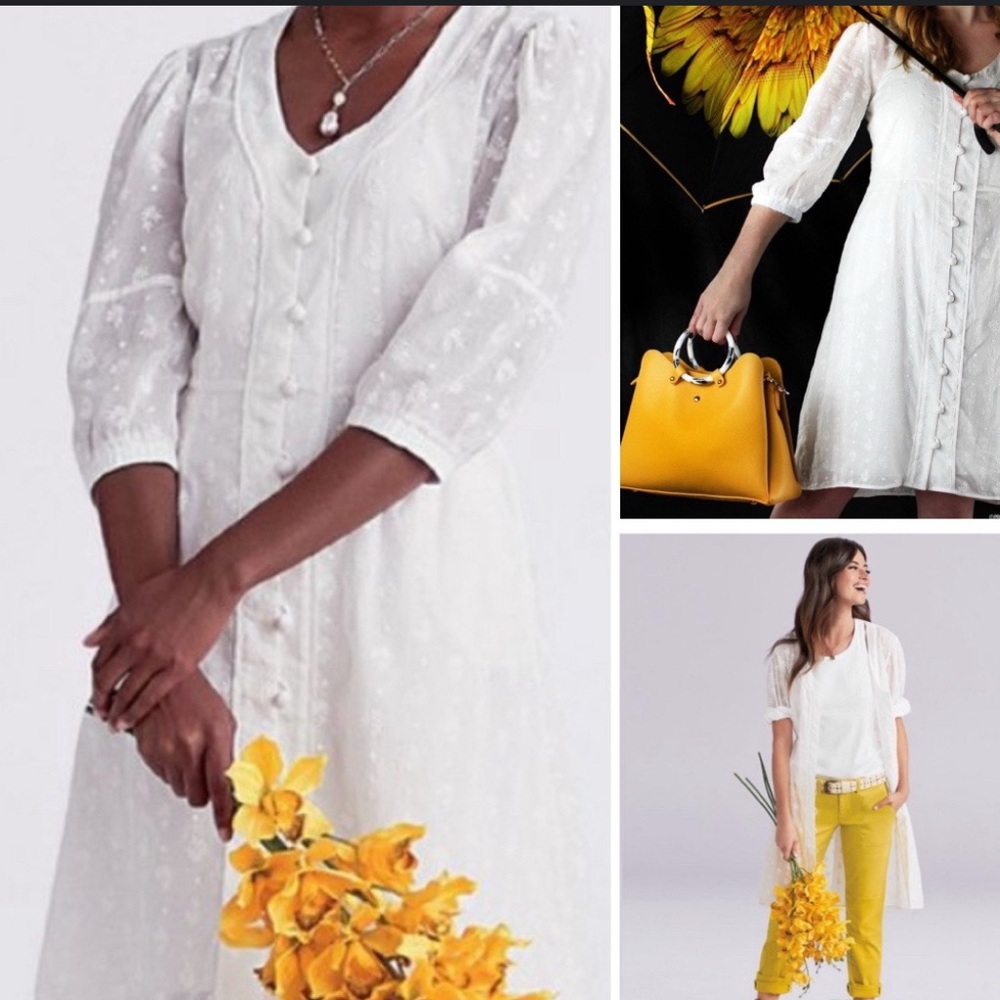 CAbi Midsummer White Embroidered Button Up Dress With Slip Size 8